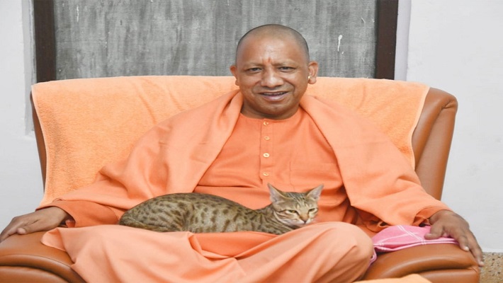 गोरखपुर: सोशल मीडिया पर छाई CM योगी की गोद में सुकून से बैठी बिल्ली, लोगों ने की जमकर तारीफ