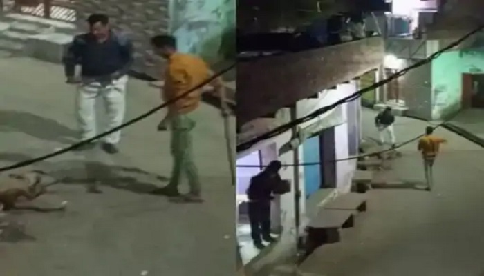 आगरा में 2 युवकों ने बेरहमी से पीट-पीटकर कुत्ते को उतारा मौत के घाट, देखें वायरल वीडियो