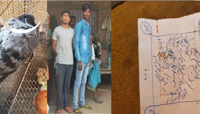 कानपुर: किसान के घर पर खून से सनी चिट्ठी लेकर पहुंचा कबूतर, ग्रामीणों में दिखा दहशत का माहौल